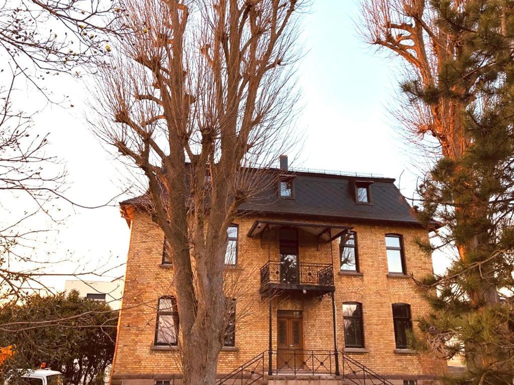 Domaine Sequoia Apartment Stutzheim Екстериор снимка